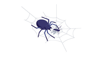 Spider captures fly in web: minimalist nature design with simplistic style