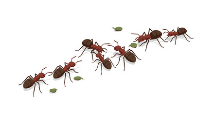 Naklejka premium Busy ants carrying leaves in a line on white background
