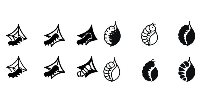 Insect life cycle icons: caterpillar, cocoon, butterfly evolution stages