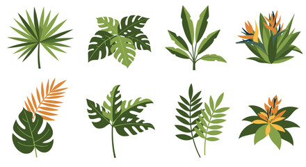 Tropical leaves collection: vibrant botanical set with exotic foliage designs
