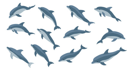 Flat stylized dolphin set with various poses in blue tones for marine themed designs