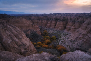 Panoramic view of the rock walls and clay columns of the Lunar or Yellow Canyon at dusk, the valley is dotted with autumn orange trees, Charyn Canyon, Kazakhstan.