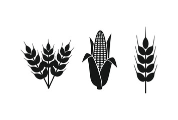 Vector illustration of wheat and cereal ears, leaves, and feather elements for nature-inspired pattern design