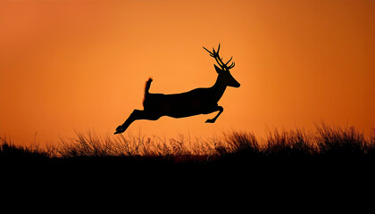 Naklejka premium Striking silhouette of a graceful deer or stag with large antlers leaping through the air against a brilliant orange and red sunset sky.