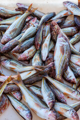 Fish anchovy background in fishermen market store shop, Italy