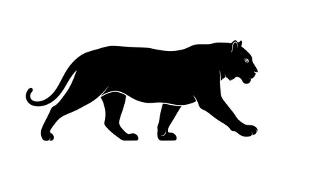 Obraz premium Black Panther Silhouette Walking Across White Background.