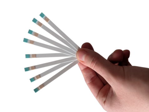 Urine reagent test strips held in hand, isolated on white. Diagnostic indicator strips designed to detect ketones and glucose for laboratory, research, or educational purposes.