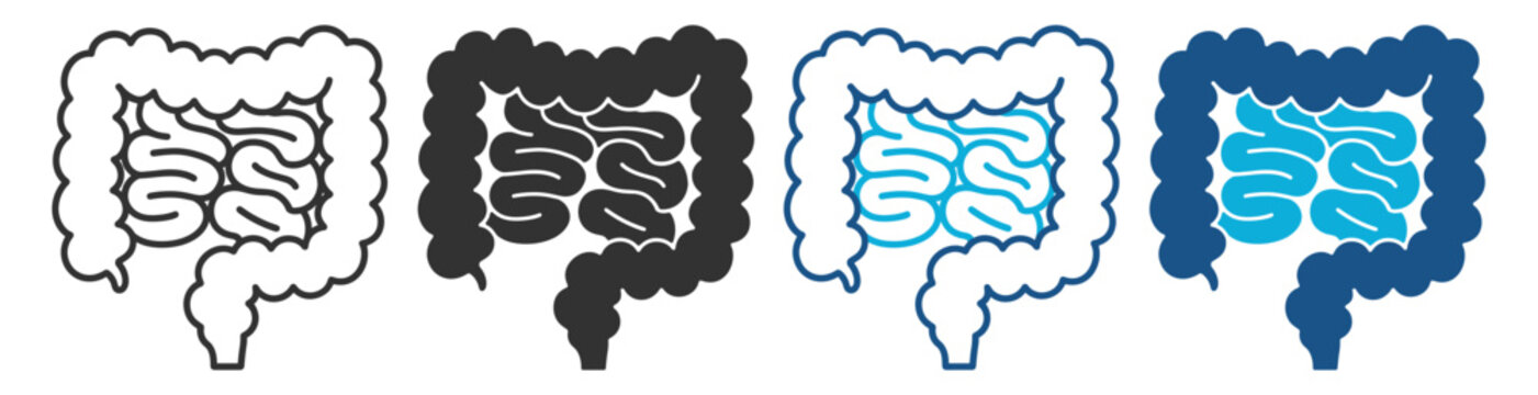 Human gut colon organ health symbol on transparent background