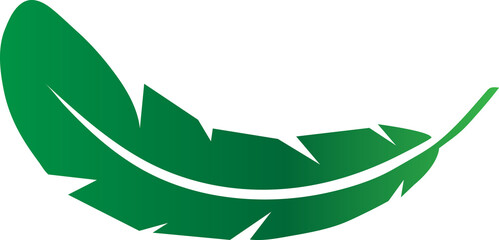 Green Feather Icon Nature Leaf Feather Symbol Vector