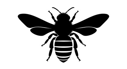 Silhouette of a Bee - Detailed Insect Illustration for Design Projects.