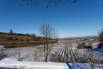 Deutschland - Baden-Württemberg - Breisgau - Tuniberg