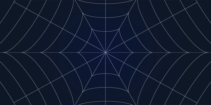 Abstract background of spider net with white and blue color.