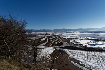 Deutschland - Baden-Württemberg - Breisgau - Tuniberg