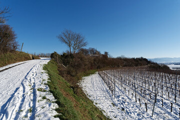 Deutschland - Baden-Württemberg - Breisgau - Tuniberg