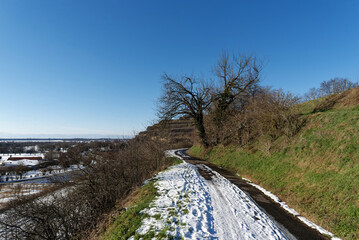 Deutschland - Baden-Württemberg - Breisgau - Tuniberg