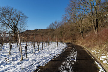 Deutschland - Baden-Württemberg - Breisgau - Tuniberg
