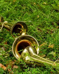 Brass instruments resting on green foliage: concept of music and nature © Ulrich