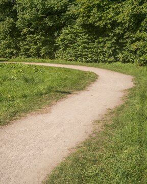 Winding path through lush green meadow in summer park