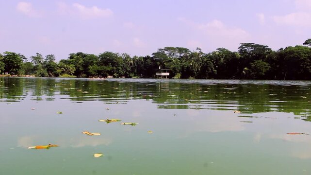 Mystical blue pond surrounded by green trees and birch trunks, peaceful and calm. Fragment of pond overgrown with reeds.