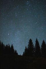 Starry night sky above a quiet pine forest, stars shimmering over silhouettes. Calm wilderness mood invites stargazing and adventure, perfect for astrophotography themes and outdoor inspiration. © Chornogirskyi