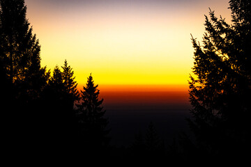 Golden sunset over a conifer forest, dark fir silhouettes framing a glowing horizon. Warm yellow to deep orange gradient sky creates a calm wilderness mood, ideal for travel, nature, backgrounds.