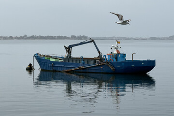 A blue fishing boat at anchor in the water