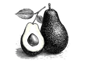 Avocado sketch hand drawn. Healthy food avocado pear illustration. Organic fresh vegetarian food drawing. Classic engrave, hand drawn, avocado pear pen ink sketch style. Farm market. Illustration