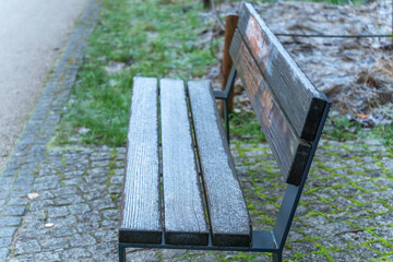 Empty park bench covered with a thin layer of frost on a cold morning. Cobblestones, moss and grass emphasize the chilly winter atmosphere.
