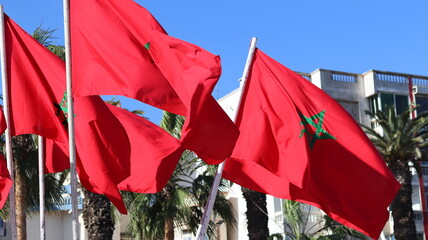Waving Moroccan national flags with green pentagram against clear blue sky, fluttering red banners...