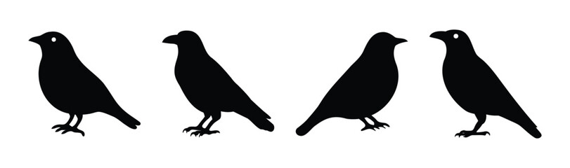 Four black bird silhouettes isolated on a white background