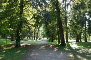 Weg und Bäume im Park von Bad Wörishofen