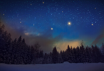 Night stars sky in a winter forest landscape.