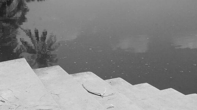 Black and white video captures a quiet scene of old cement stairs descending into a still pond or river.