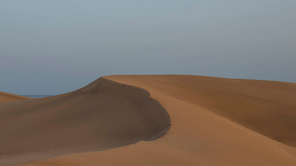 Dunes de Maspalomas 