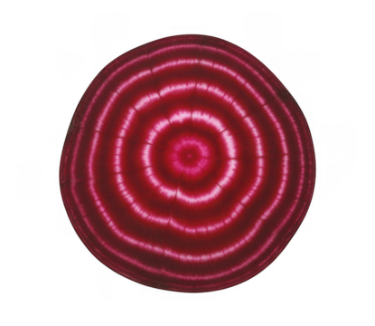 Beetroot cross section concentric rings isolated on a transparent background