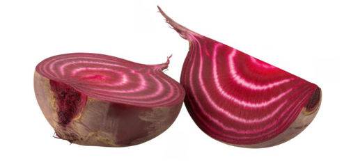 Beetroot cross section and slice isolated on a transparent background
