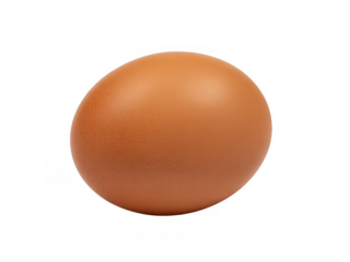 Brown chicken egg isolated on a transparent background