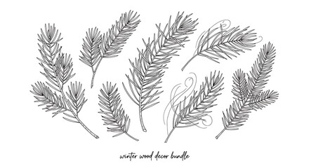 Hand Drawn Pine Branches Decorative Elements needle pinecone