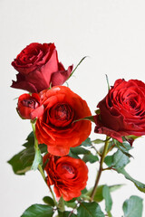 ラナンキュラスとばら