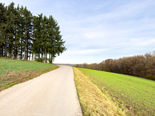 Minimal country road along the forest edge with gentle autumn tones in Luxembourg