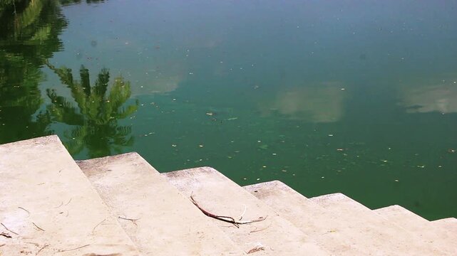 Peaceful view of weathered concrete steps leading down into a calm green village pond water surface reflecting a tropical coconut palm tree and blue sky, depicting a serene rural bathing ghat scene
