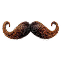 Brown curled mustache up on transparent background