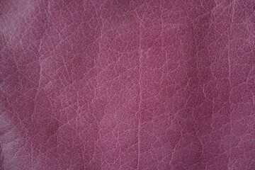 pink leather texture close-up, seams on leather jacket as background, light pink natural leather as background, black leather stitching	
