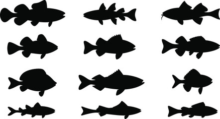 Fish silhouette illustration set, aquatic species shapes, marine animal icons, underwater graphic, ocean life symbol, ichthyology design