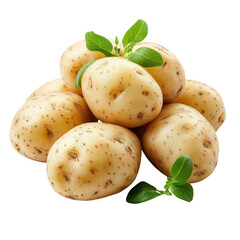 Pile of raw potatoes up on transparent background