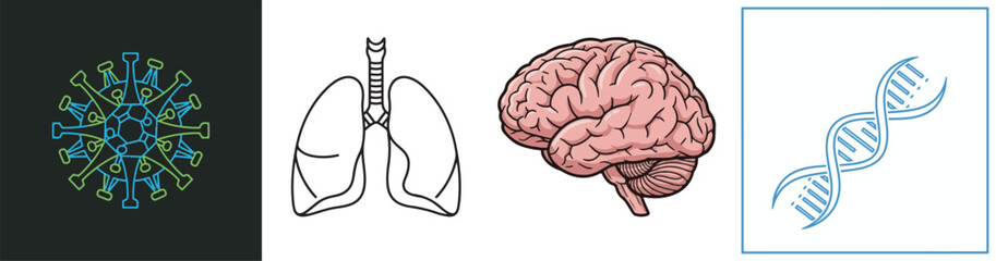 Microbe, Lung, Brain, and DNA Strand Illustrations in a Row
