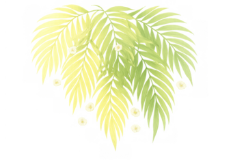 Green palm leaves and white tropical flowers creating a natural decorative border on transparent background