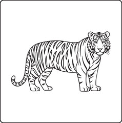 Obraz premium A adult tiger standing alone black outline vector illustration coloring book for kids
