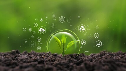 Green seedlings growing in green forest with icons - ESG concept of environment, ecology and global sustainability. Green business, eco-friendly, ecology, Earth Day, CSR and Net Zero.