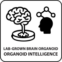 Lab-grown brain organoid, organoid intelligence icon